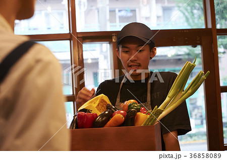 カフェ　準備をするスタッフ　野菜の仕入れ 36858089