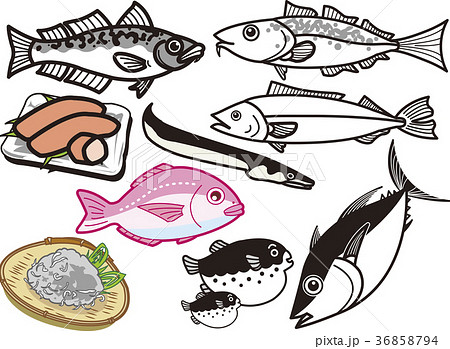 魚介類5のイラスト素材