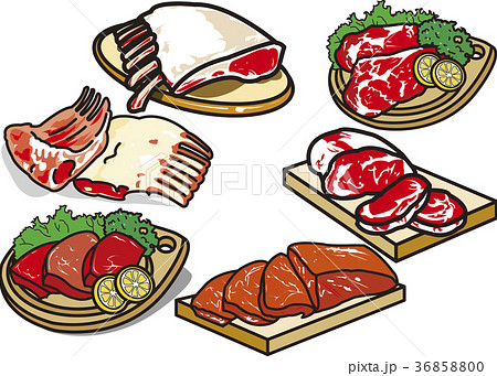 肉1 36858800