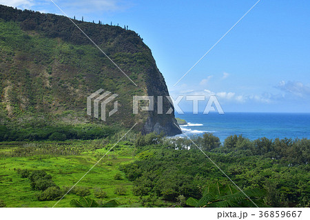 ハワイ島ワイピオ渓谷 36859667