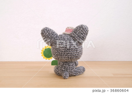 夏のフレンチブルドッグ 夏のフレンチブルドッグ 36860604