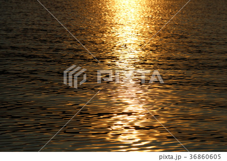 芦ノ湖の夕日 36860605