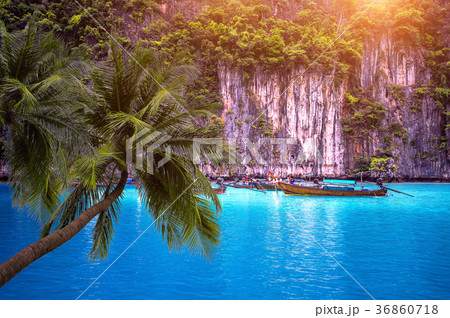 Tropical beach and long boat with palm trees Tropical beach and long boat with palm trees 36860718