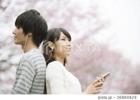 桜の前で音楽を聴くカップルの写真素材