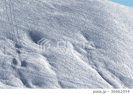 Snowy off piste slope for freeride with traces Snowy off piste slope for freeride with traces 36862054