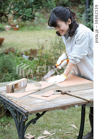 DIY女子 36862539