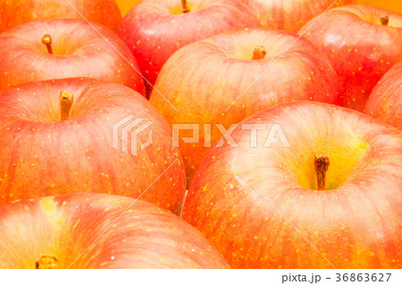 信州りんご 富士 箱詰め 信州りんご 富士 箱詰め 36863627