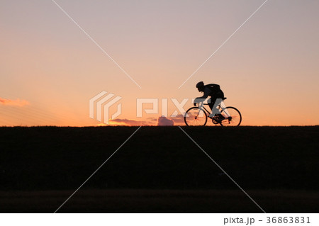 自転車のシルエット 36863831