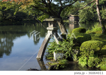 夏の兼六園 ことじ灯籠の写真素材