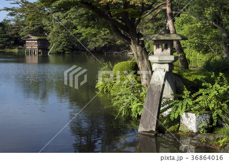 夏の兼六園 ことじ灯籠の写真素材