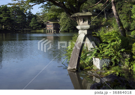 夏の兼六園 ことじ灯籠の写真素材