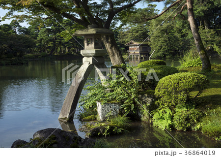 夏の兼六園　ことじ灯籠 36864019