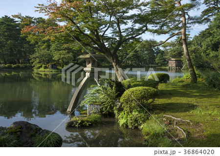 夏の兼六園 ことじ灯籠の写真素材