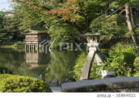 夏の兼六園 ことじ灯籠の写真素材