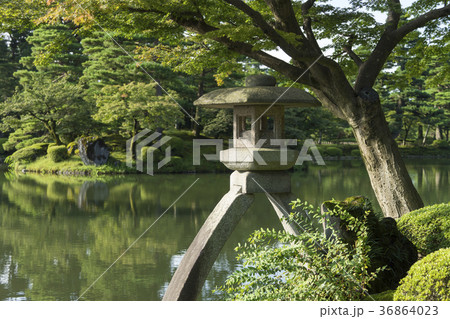 夏の兼六園 ことじ灯籠の写真素材