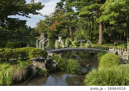 夏の兼六園 ことじ灯籠 夏の兼六園 ことじ灯籠 36864026
