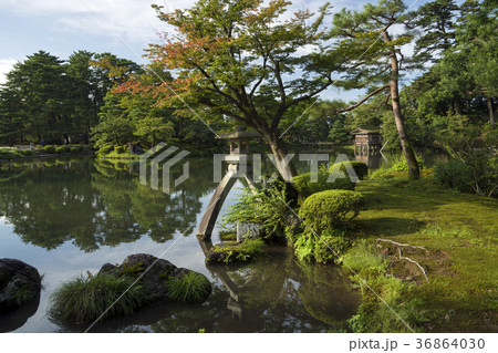 夏の兼六園　ことじ灯籠 36864030