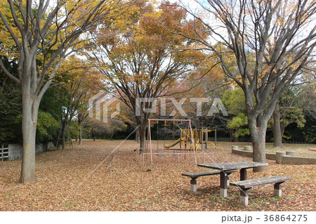 太尾見晴らしの丘公園(横浜市港北区) 太尾見晴らしの丘公園(横浜市港北区) 36864275