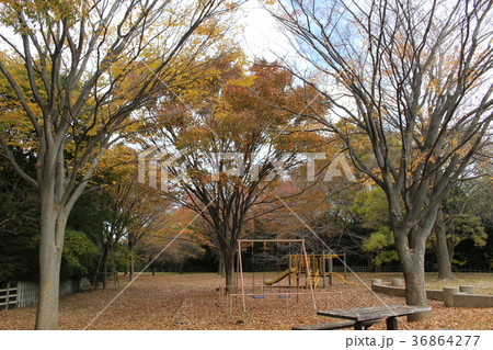 太尾見晴らしの丘公園（横浜市港北区） 36864277