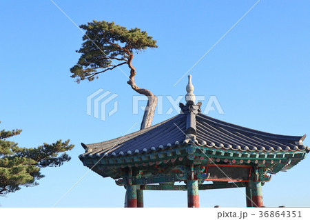 naksansa temple in south korea 36864351