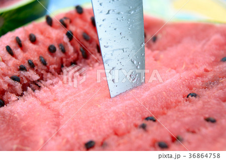 Watermelon 36864758