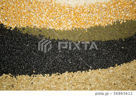 Different kinds of bean seeds Different kinds of bean seeds 36865612
