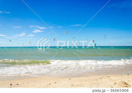 Many kite surfers enjoy their loved sport Many kite surfers enjoy their loved sport 36865906