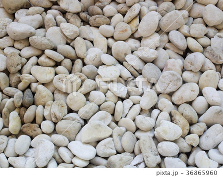 Small naturally polished white rock pebbles  36865960