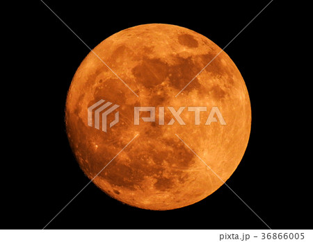 The yellow full moon on black background 36866005