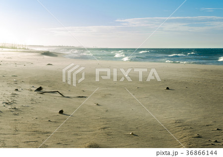 View of a white sand beach in Ceara 36866144