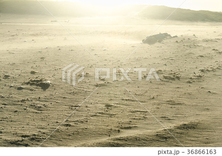 Alien landscape beach terrain similar other planet Alien landscape beach terrain similar other planet 36866163