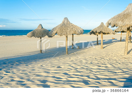 Many sun umbrellas at the beach sand Many sun umbrellas at the beach sand 36866164