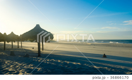 View of beach sunset with many sun umbrellas 36866170