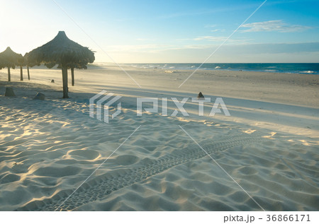 Several beach sun umbrellas at the sunset 36866171