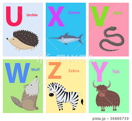 Alphabet Letters U, X, V, W, Z, Y Set with Animal - Stock Illustration  [36866739] - PIXTA