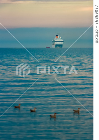 Large royal cruise liner Large royal cruise liner 36869037