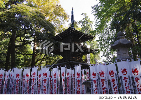 愛知県 豊川稲荷 三重の塔 愛知県 豊川稲荷 三重の塔 36869226