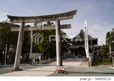 愛知県　豊川稲荷　鳥居と本殿 36869229