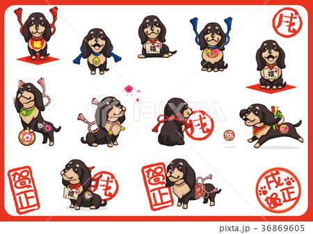 年賀状用ミニチュアダックスフンド02 年賀状用ミニチュアダックスフンド02 36869605