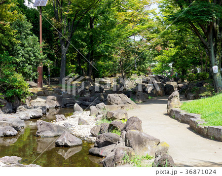 大横川親水公園 36871024