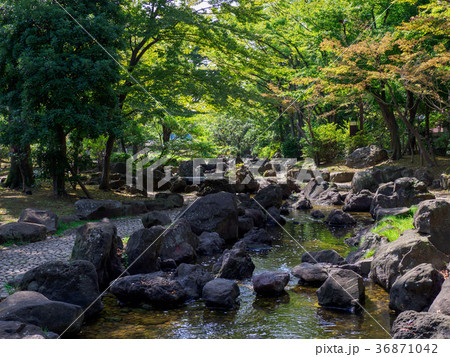 大横川親水公園 大横川親水公園 36871042