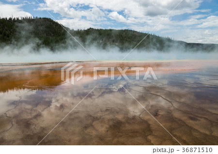 イエローストーン国立公園 36871510