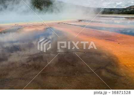 イエローストーン国立公園 イエローストーン国立公園 36871528
