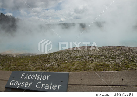 イエローストーン国立公園 36871593