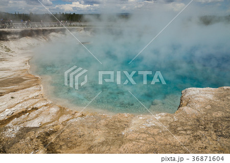 イエローストーン国立公園 36871604