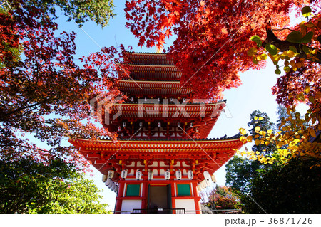 高幡不動尊 高幡不動尊 36871726