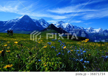 ハイキング日和 36871734