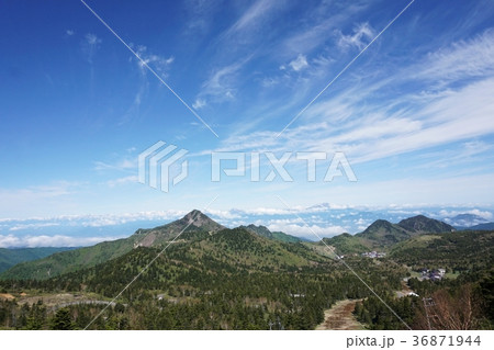新緑の志賀高原と残雪の北アルプス 36871944