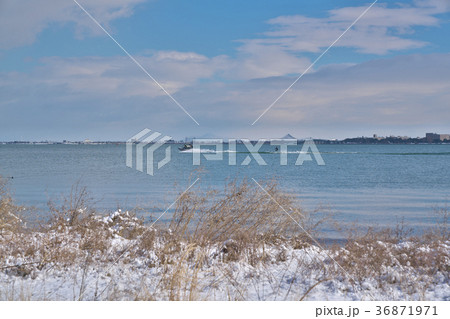 雪化粧の琵琶湖 雪化粧の琵琶湖 36871971