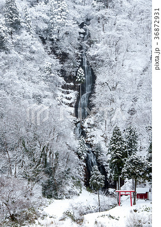 白糸の滝 冬景色 山形県の写真素材